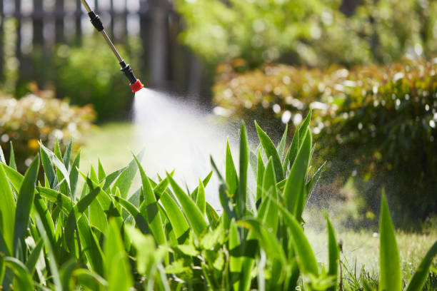 24/7 Emergency Termite Control experts in Sun Valley, ID