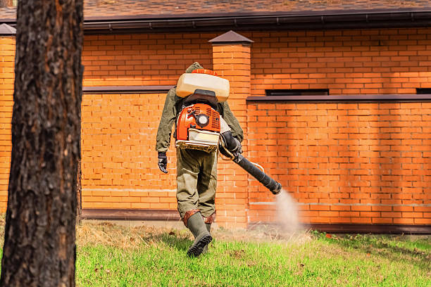 Trusted Termite Control service in Sun Valley, ID - Nex Pest Control